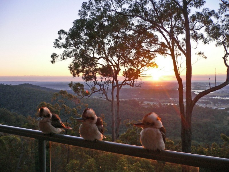 Wongawallan QLD 4210