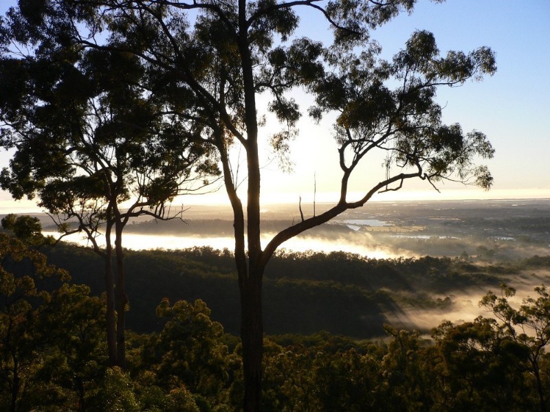 Wongawallan QLD 4210