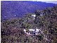 Wongawallan QLD 4210