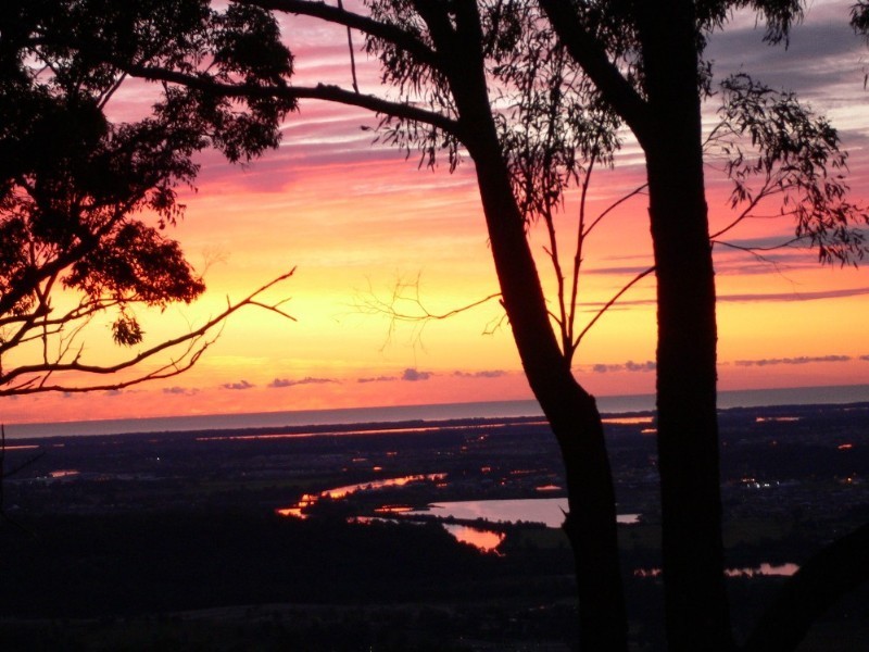Wongawallan QLD 4210