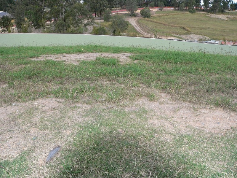 Upper Coomera QLD 4209