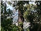 Wongawallan QLD 4210
