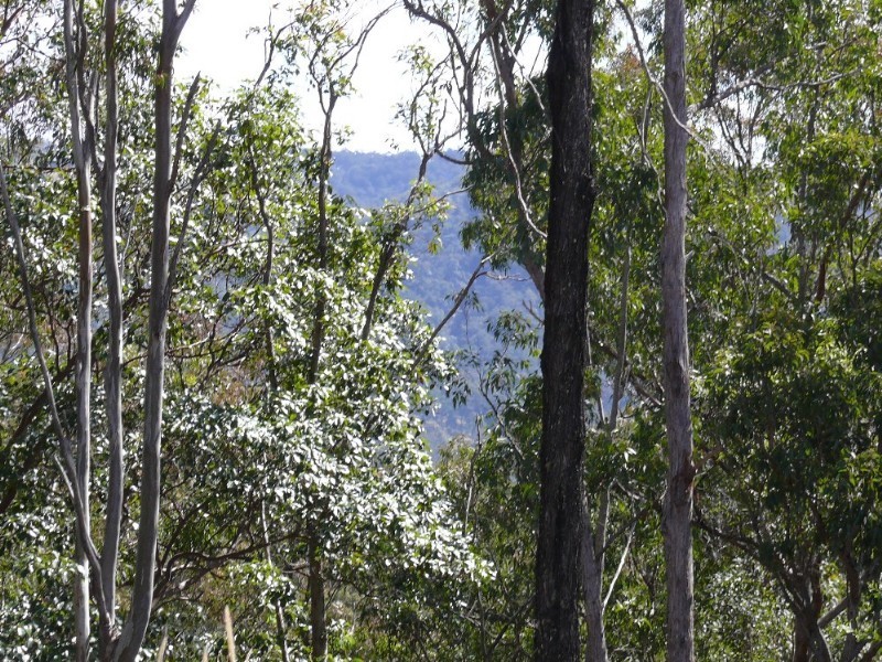 Wongawallan QLD 4210