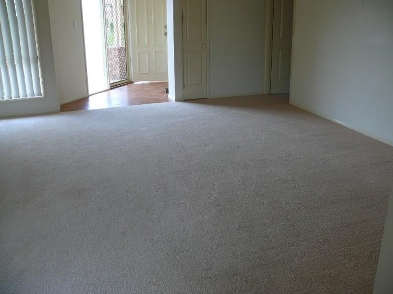 31 Palmerston Drive, Oxenford QLD 4210