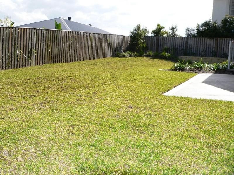 Upper Coomera QLD 4209