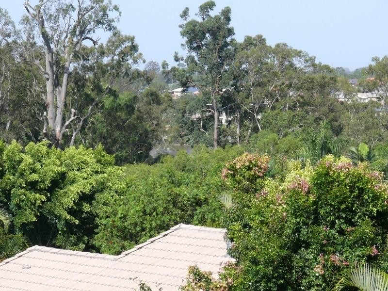 Upper Coomera QLD 4209