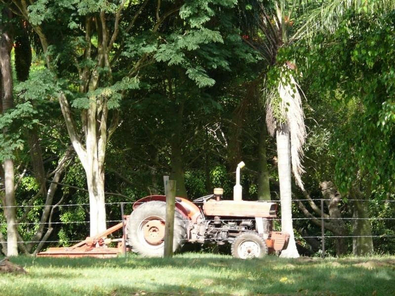 Willow Vale QLD 4209