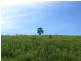 Willow Vale QLD 4209