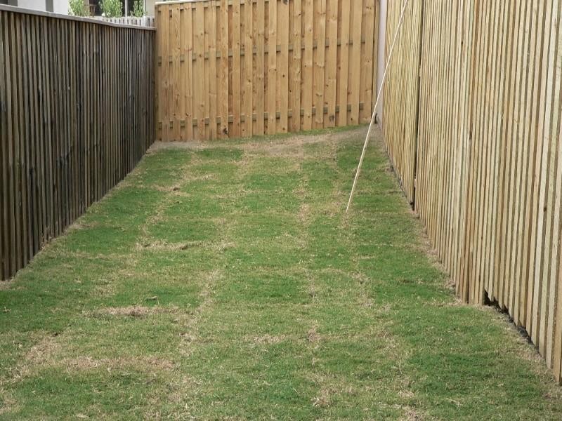 11 Barrington Street, Upper Coomera QLD 4209