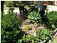 Oxenford QLD 4210