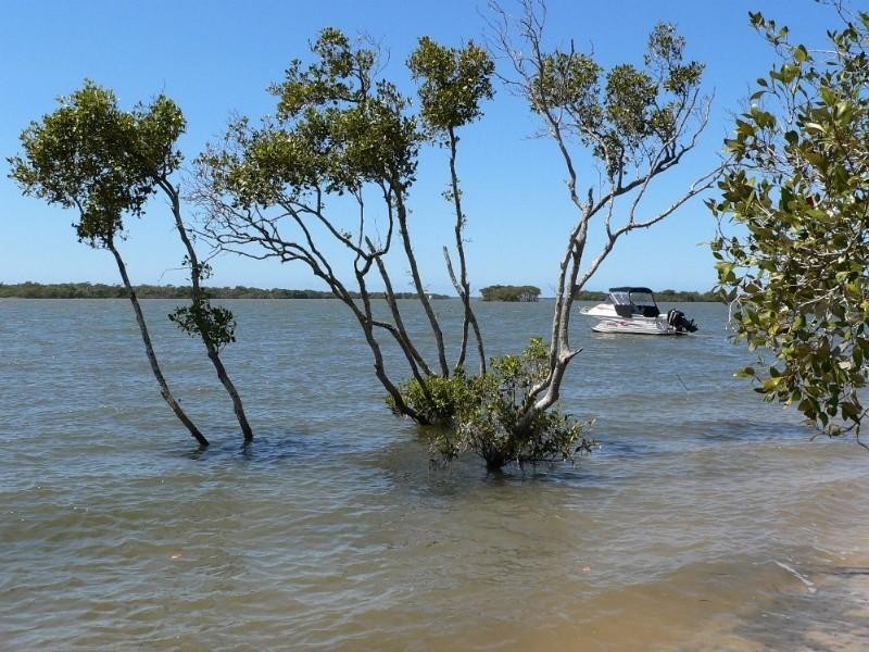 Jacobs Well QLD 4208