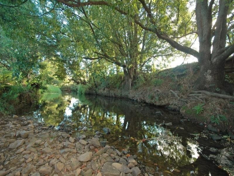 Willow Vale QLD 4209