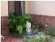 Pacific Pines QLD 4211