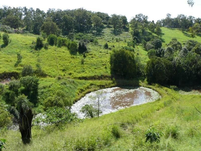 Willow Vale QLD 4209