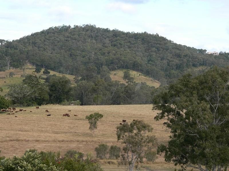 5 Fradgley Court, Ormeau QLD 4208