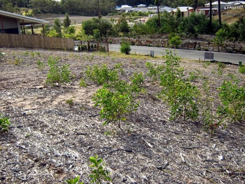 Upper Coomera QLD 4209
