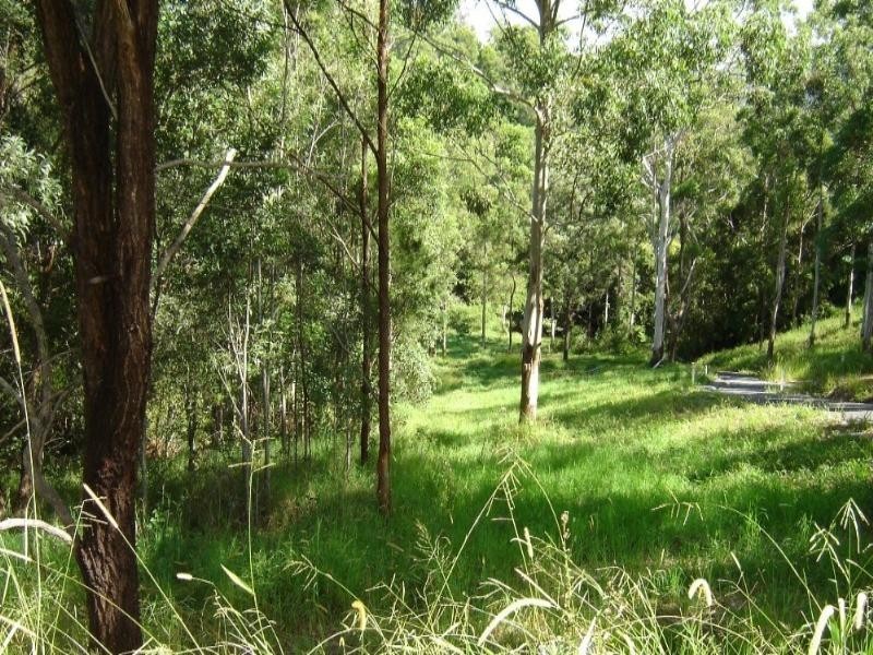 Wongawallan QLD 4210