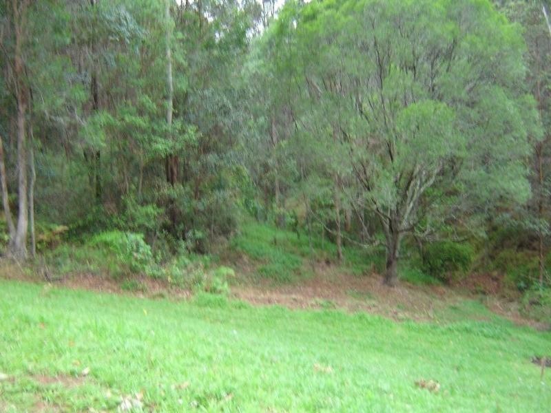 Wongawallan QLD 4210