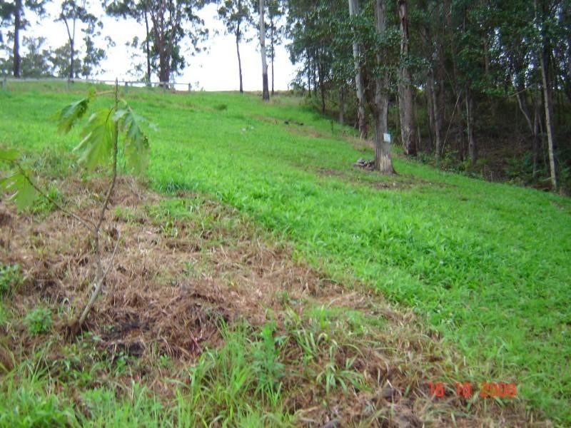 Wongawallan QLD 4210