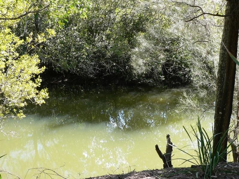 Upper Coomera QLD 4209