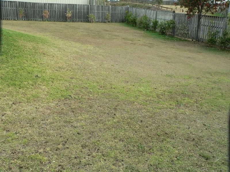 15 Maui Court, Oxenford QLD 4210