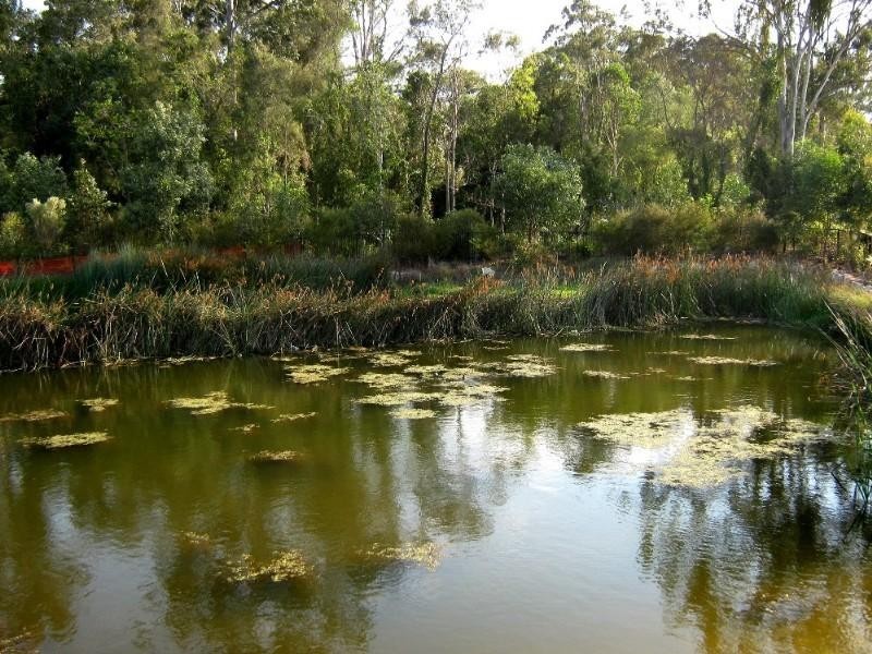 Upper Coomera QLD 4209