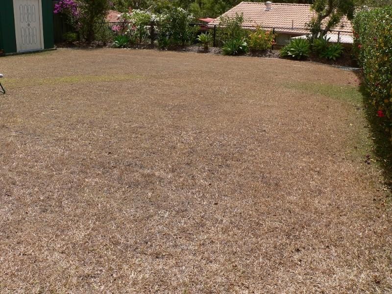 Oxenford QLD 4210
