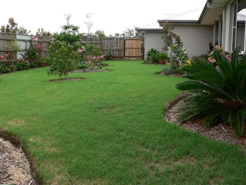 2 Carrieton Street, Ormeau QLD 4208