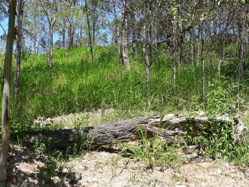 Upper Coomera QLD 4209