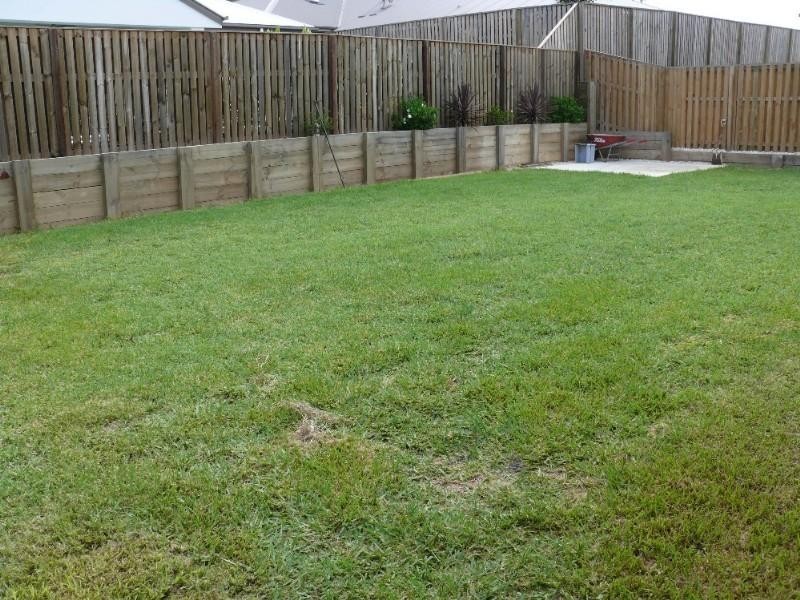 Upper Coomera QLD 4209