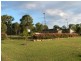 Tamborine QLD 4270