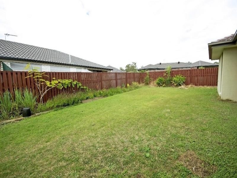 17 Monarch Avenue, Upper Coomera QLD 4209