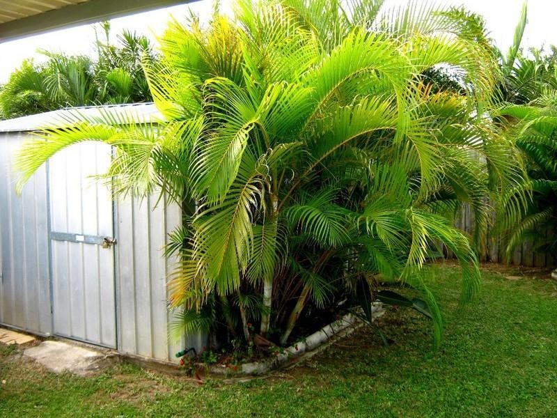7 River Heights Road, Upper Coomera QLD 4209
