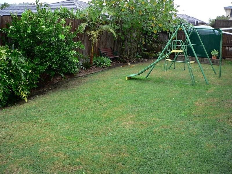 11 Jaxson Terrace, Pimpama QLD 4209
