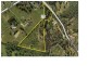 Willow Vale QLD 4209