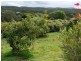 Willow Vale QLD 4209