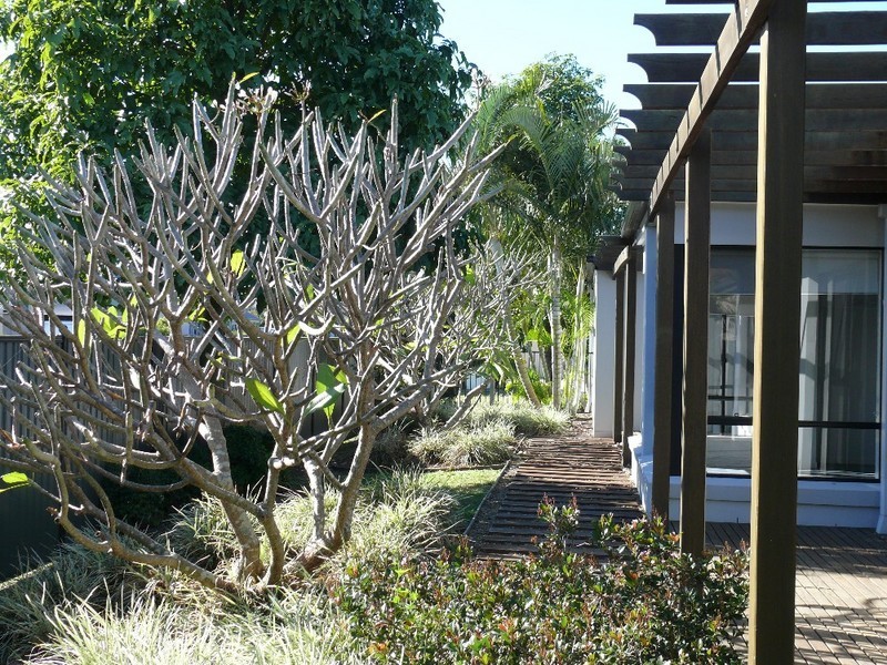 1 Thames Place, Oxenford QLD 4210