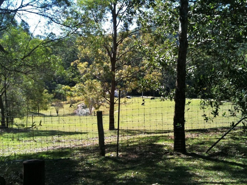 19 Elevation Drive, Wongawallan QLD 4210