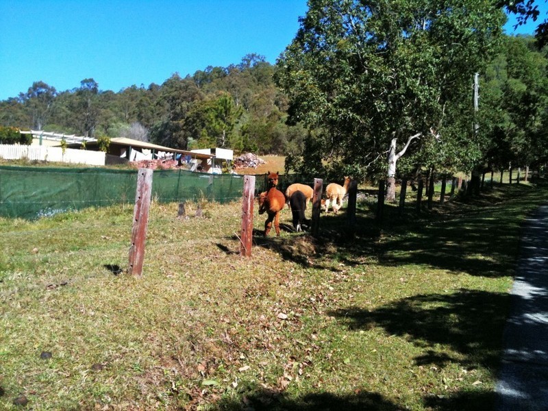 19 Elevation Drive, Wongawallan QLD 4210