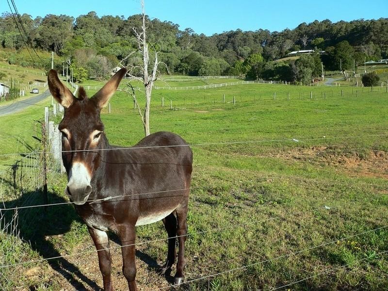 359A Ruffles Road, Willow Vale QLD 4209