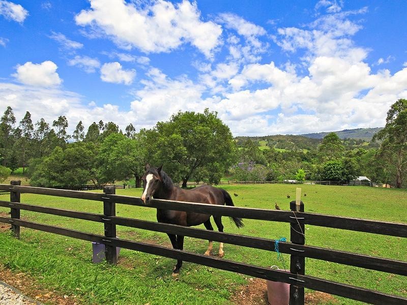 129 Birds Road, Guanaba QLD 4210