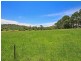 34 Ruffles Road, Willow Vale QLD 4209