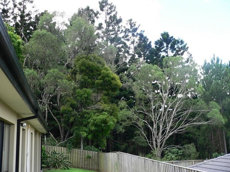 17 Lambert Drive, Maudsland QLD 4210