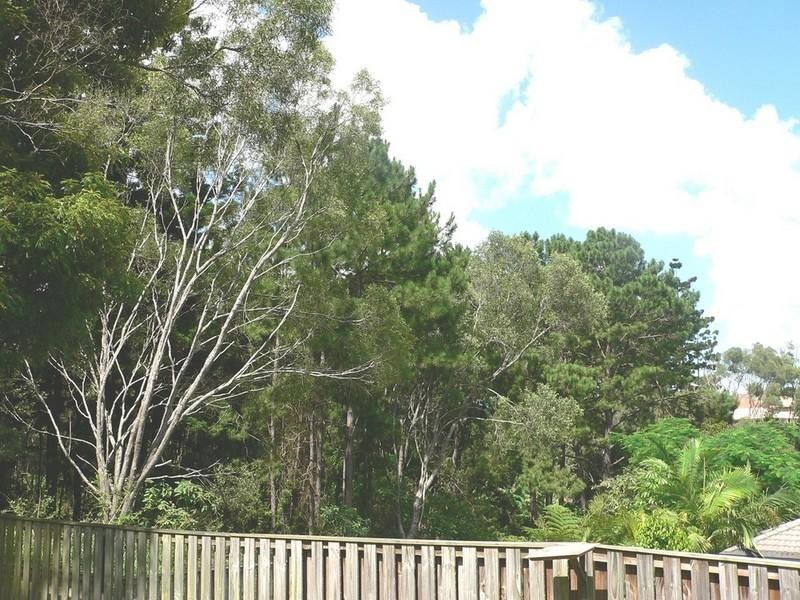 17 Lambert Drive, Maudsland QLD 4210