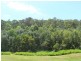 Wongawallan QLD 4210