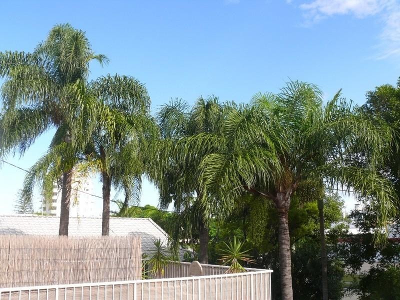 5/5 Brett Avenue, Labrador QLD 4215