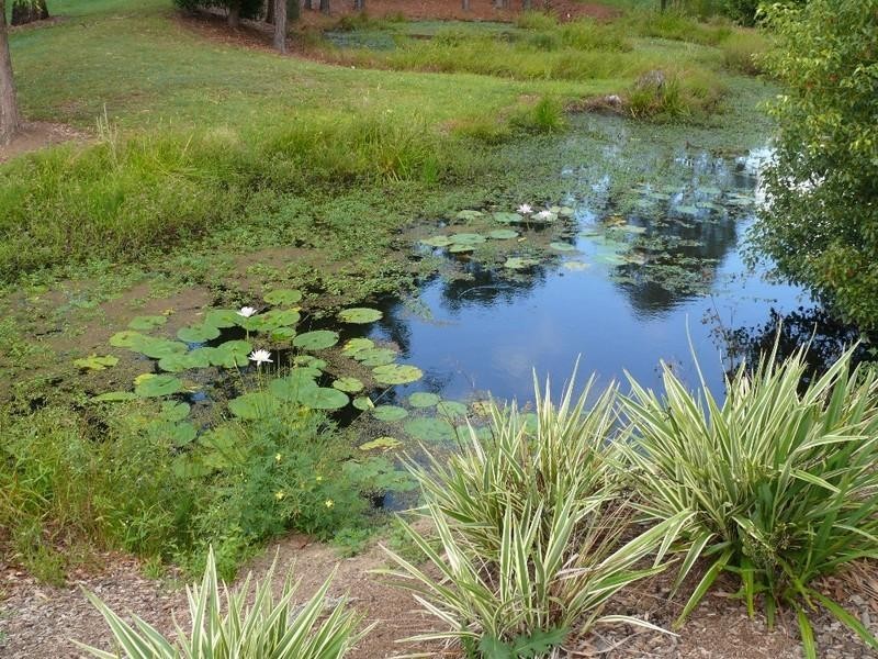 1/23 Lorenzo Drive, Coomera QLD 4209