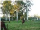 489 Stapylton-Jacobs Well Road, Alberton QLD 4207