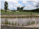 94 Coomera Springs Boulevard, Upper Coomera QLD 4209