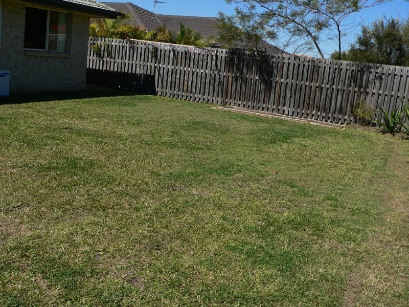 14 Principal Drive, Upper Coomera QLD 4209